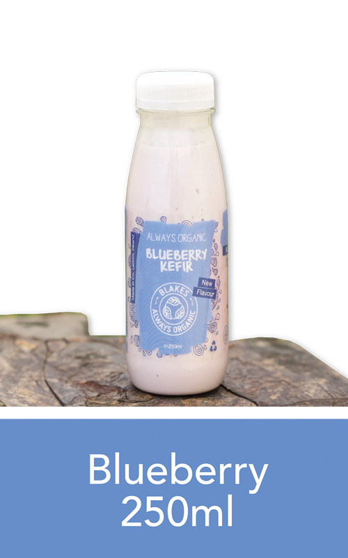 Blueberry Kefir